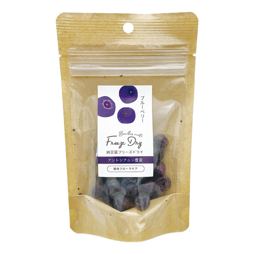 DRS.CHOICE 納豆菌フリーズドライ ブルーベリー