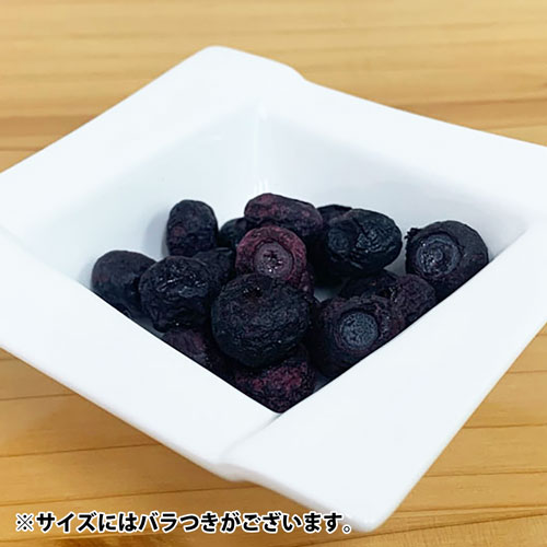 DRS.CHOICE 納豆菌フリーズドライ ブルーベリー - 画像 (3)