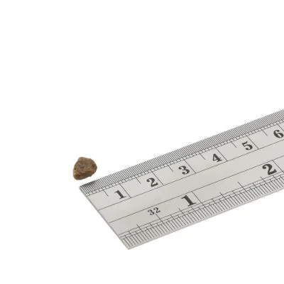 ファイネスト トイブリード 超小粒 1.5kg - 画像 (2)