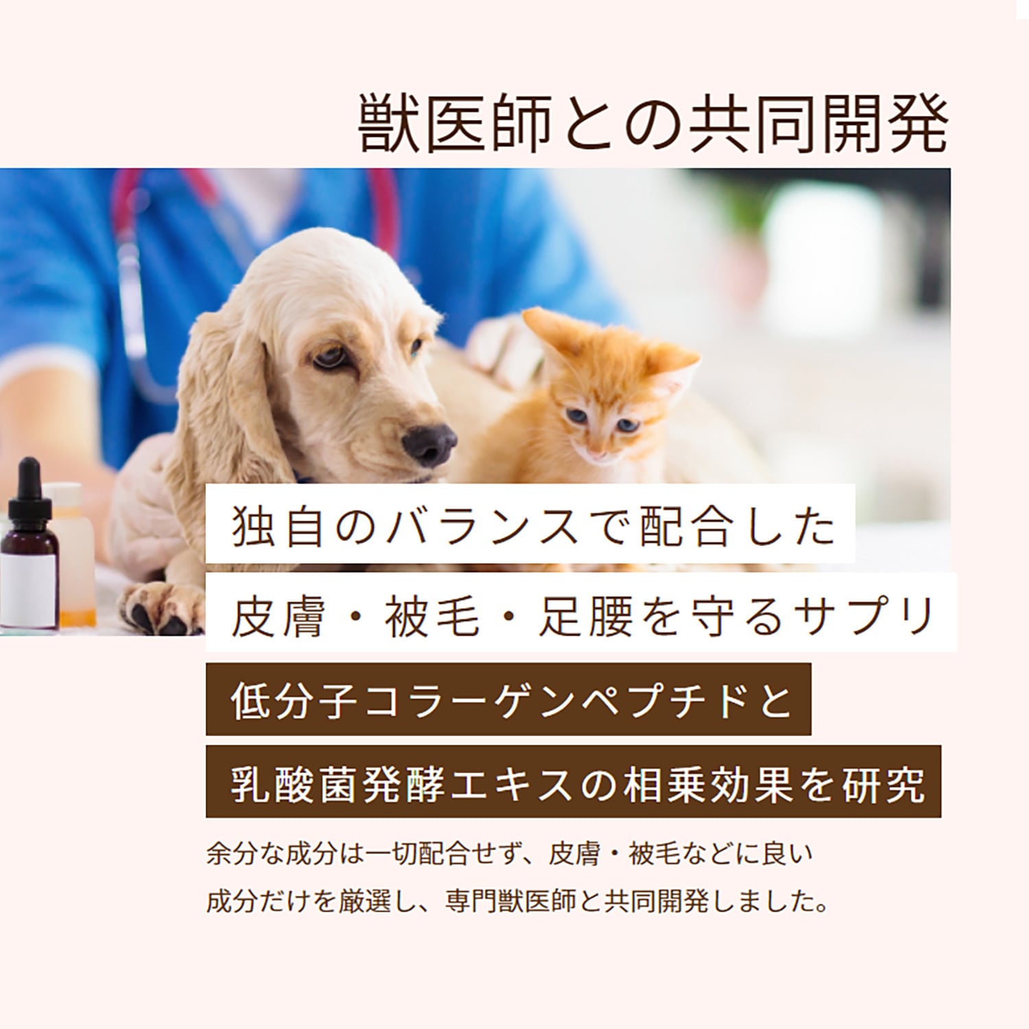 PREMEAL スキンコート - 画像 (4)