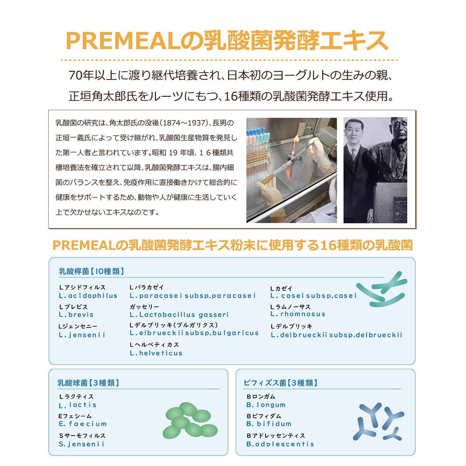 PREMEAL スキンコート - 画像 (3)