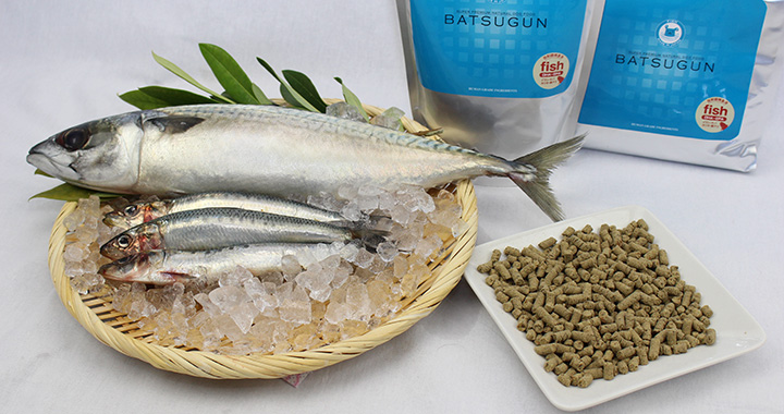チヨペット BATSUGUN 魚 400g - 画像 (31)