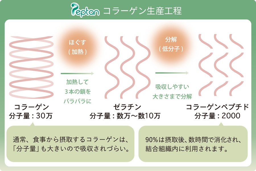 PREMEAL スキンコート - 画像 (7)